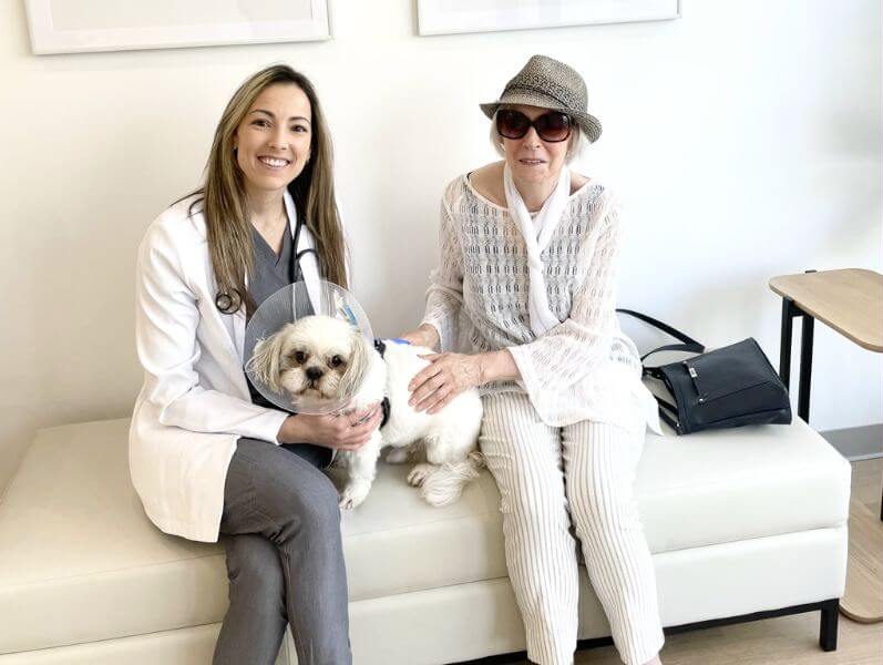 A patient and its owner sitting with a vet
