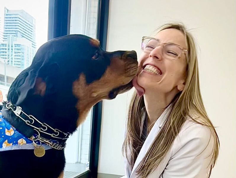 A Rottweiler dog licks the face of a person wearing a white lab coat and glasses.