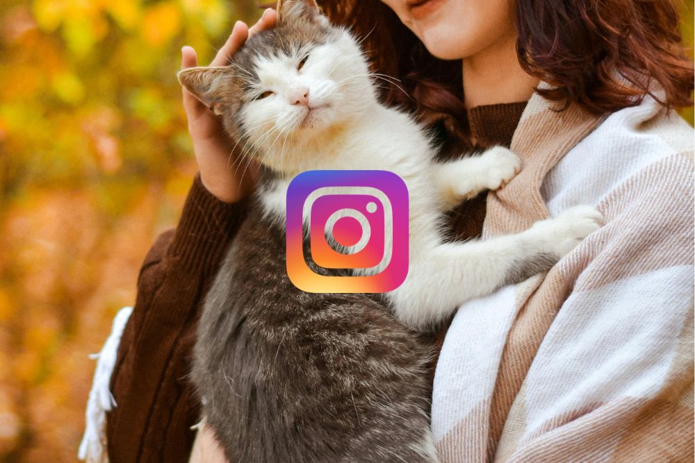 instragram post Instagram post